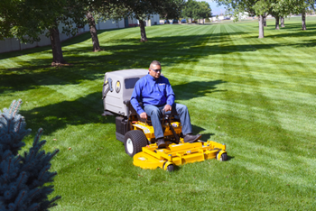 Walker lawn discount